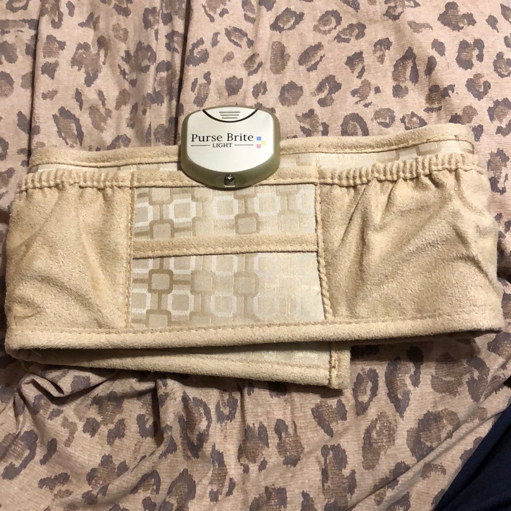 Purse organizer
